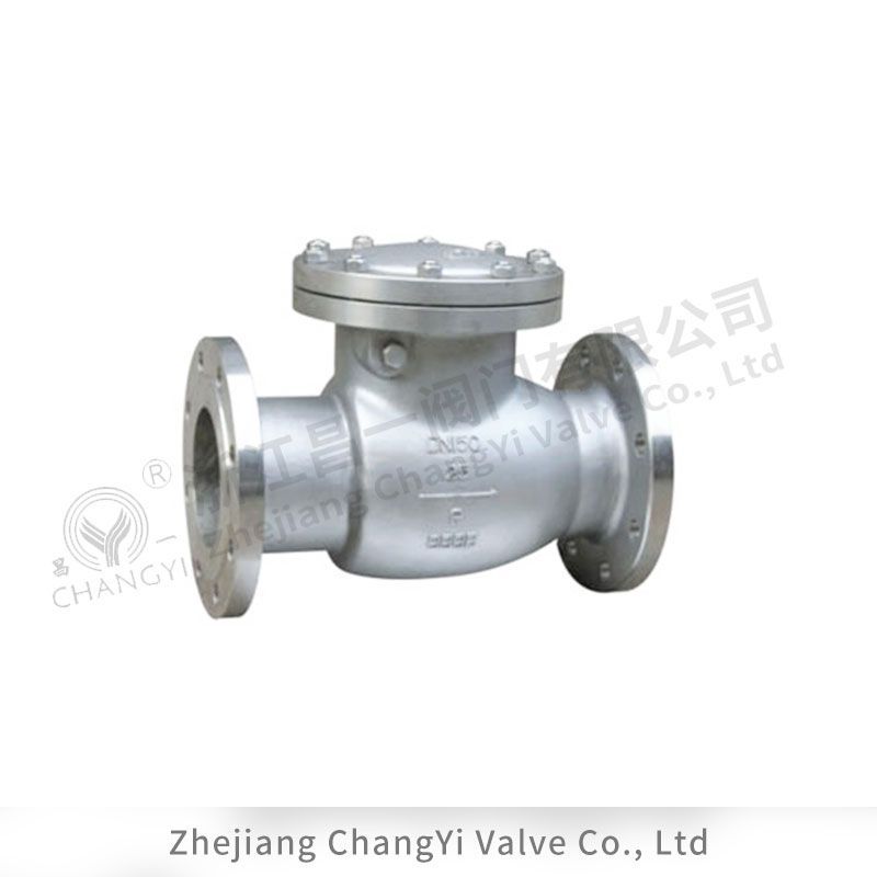 美標法蘭止回閥